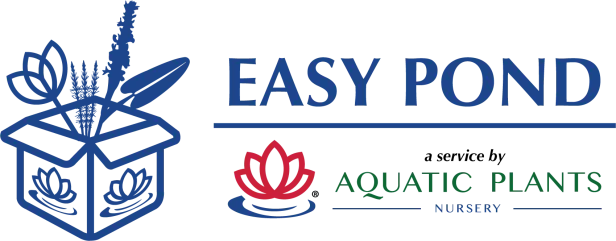 EASY POND logo