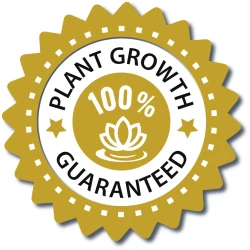 plant growth guaranteed